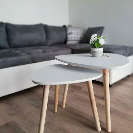 Appartement Cosy Proche Meteo France Et Airbus Toulouse Kültér fotó