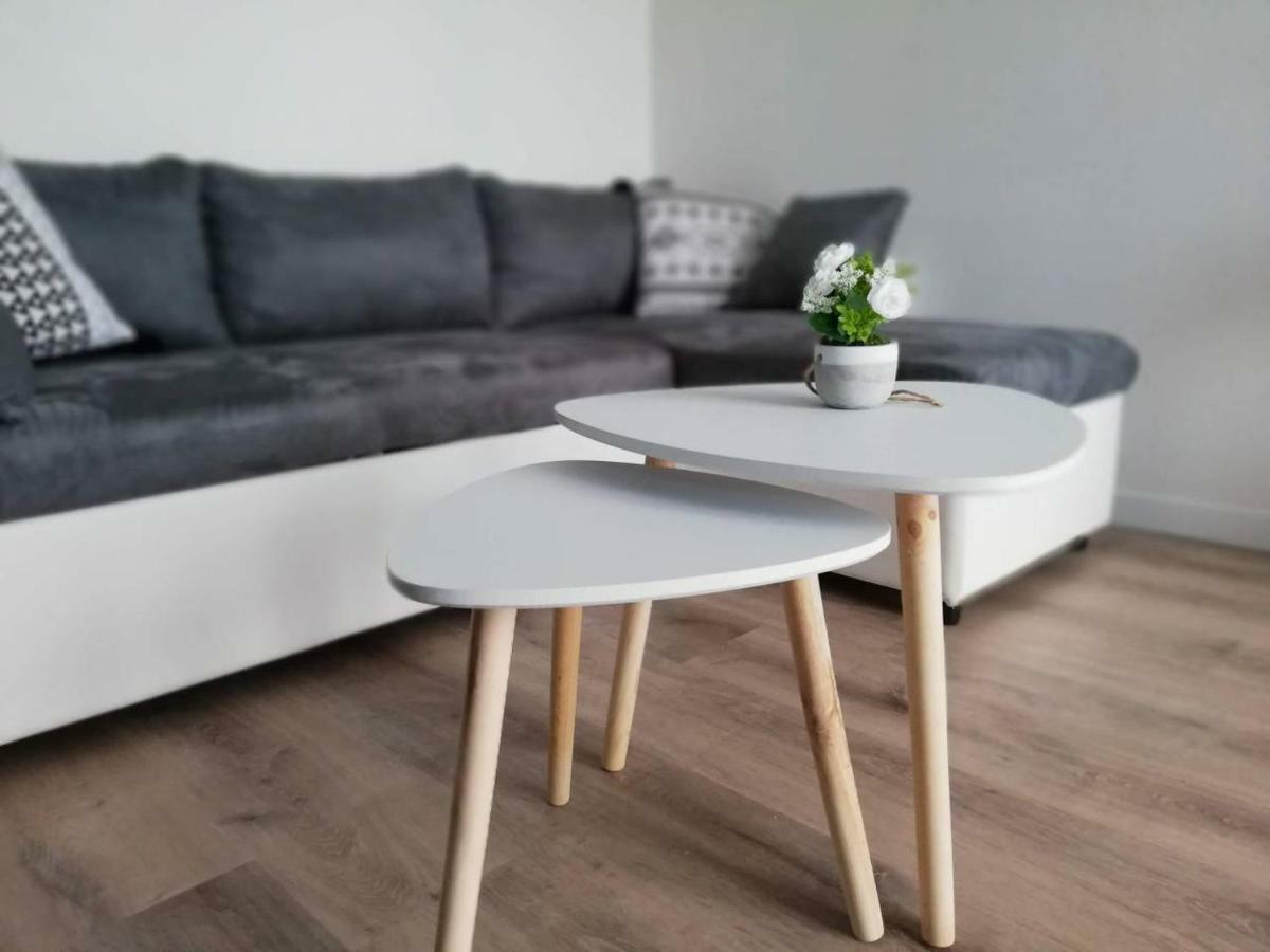 Appartement Cosy Proche Meteo France Et Airbus Toulouse Kültér fotó