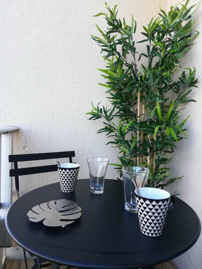 Appartement Cosy Proche Meteo France Et Airbus Toulouse Kültér fotó
